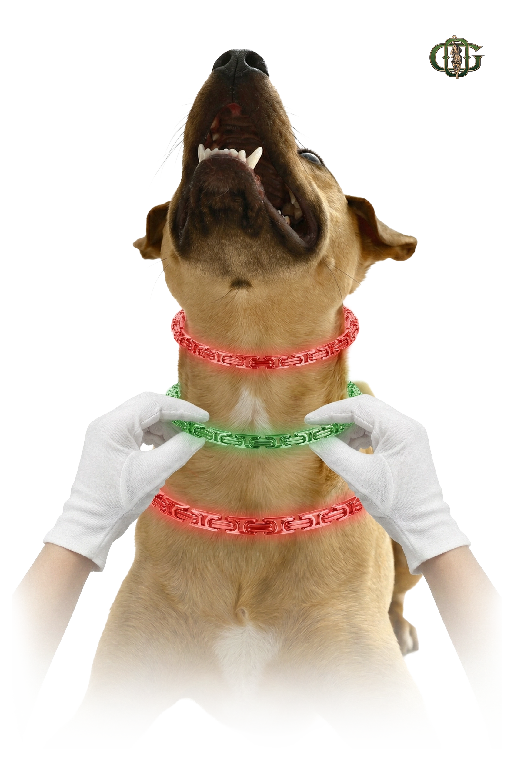 Jak dobrać rozmiar?