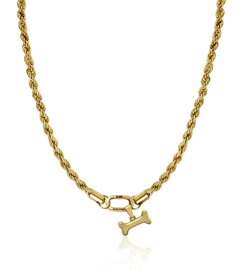 Złoty zestaw spiralny dla psów