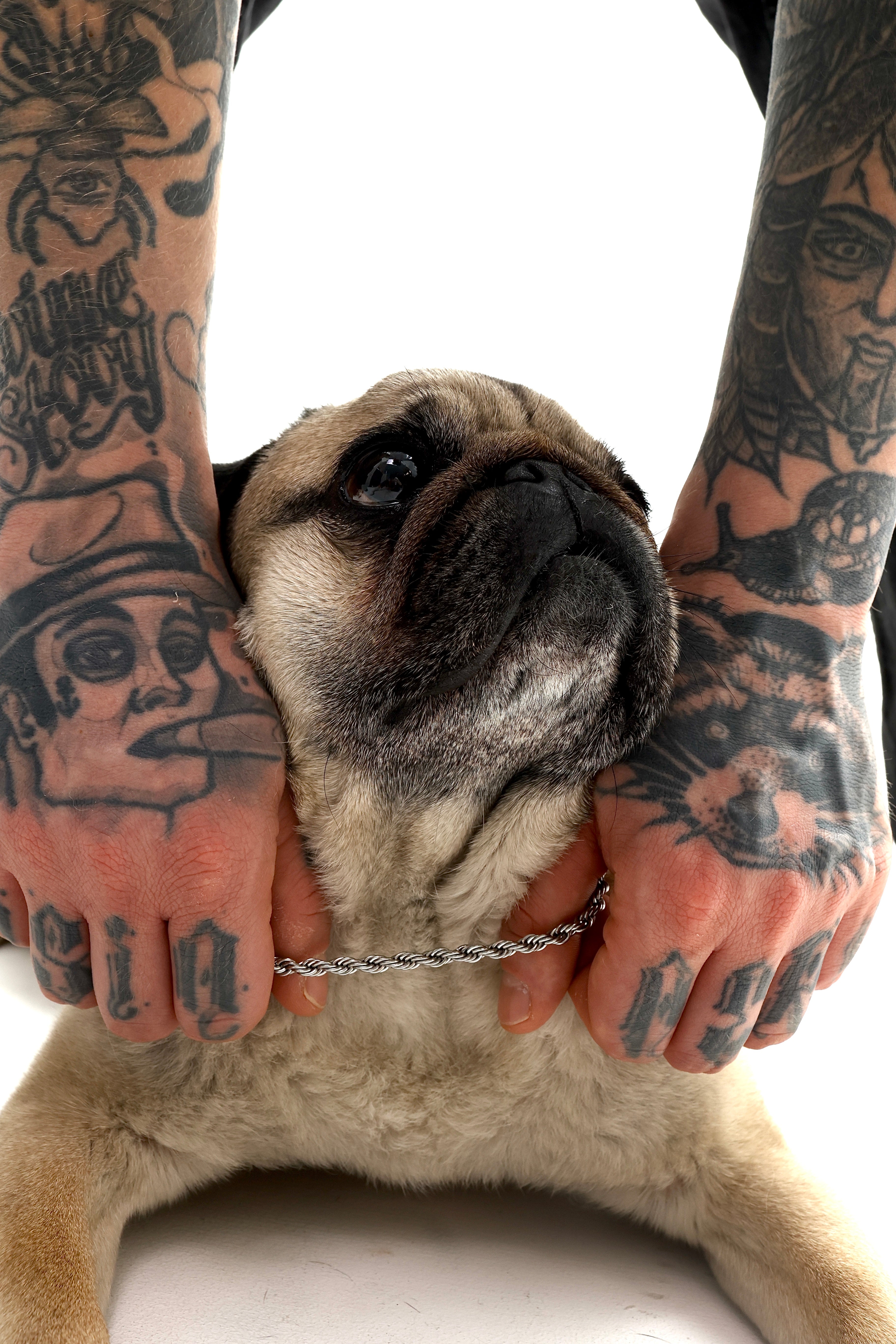 Srebrny łańcuch spiralny dla psów